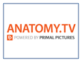 Anatomy TV